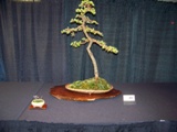 Annual Show 2011 - 14 2011